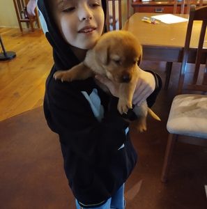 Meet your Posher, Pat